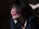 雪村流縄遊戯vol.3 － 荊子 × 菅原花音
